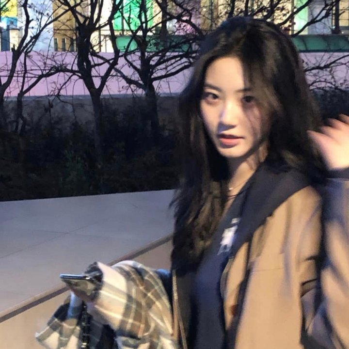 动物朋友 (电影)